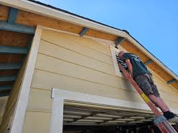 Best Historical Building Siding Restoration  in Dekal, IL